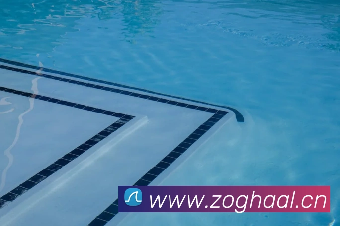 华体育会登录网官网发展历程